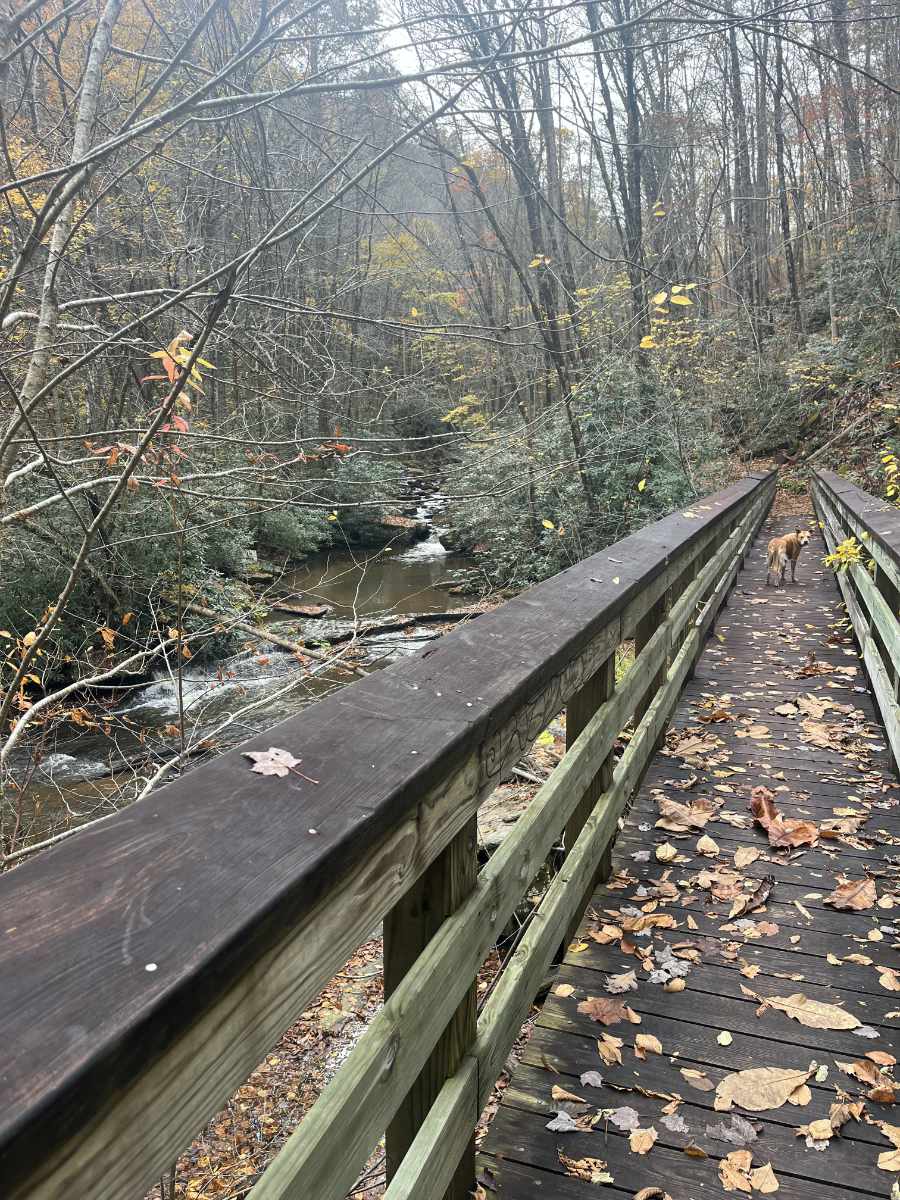 Little stony falls trail — 3 Waterfall Hikes in VA and TN