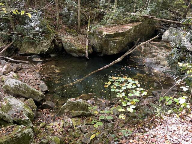 Margarette falls — 3 Waterfall Hikes in VA and TN