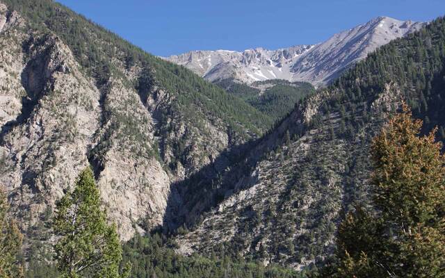 Narrow Gauge Trail