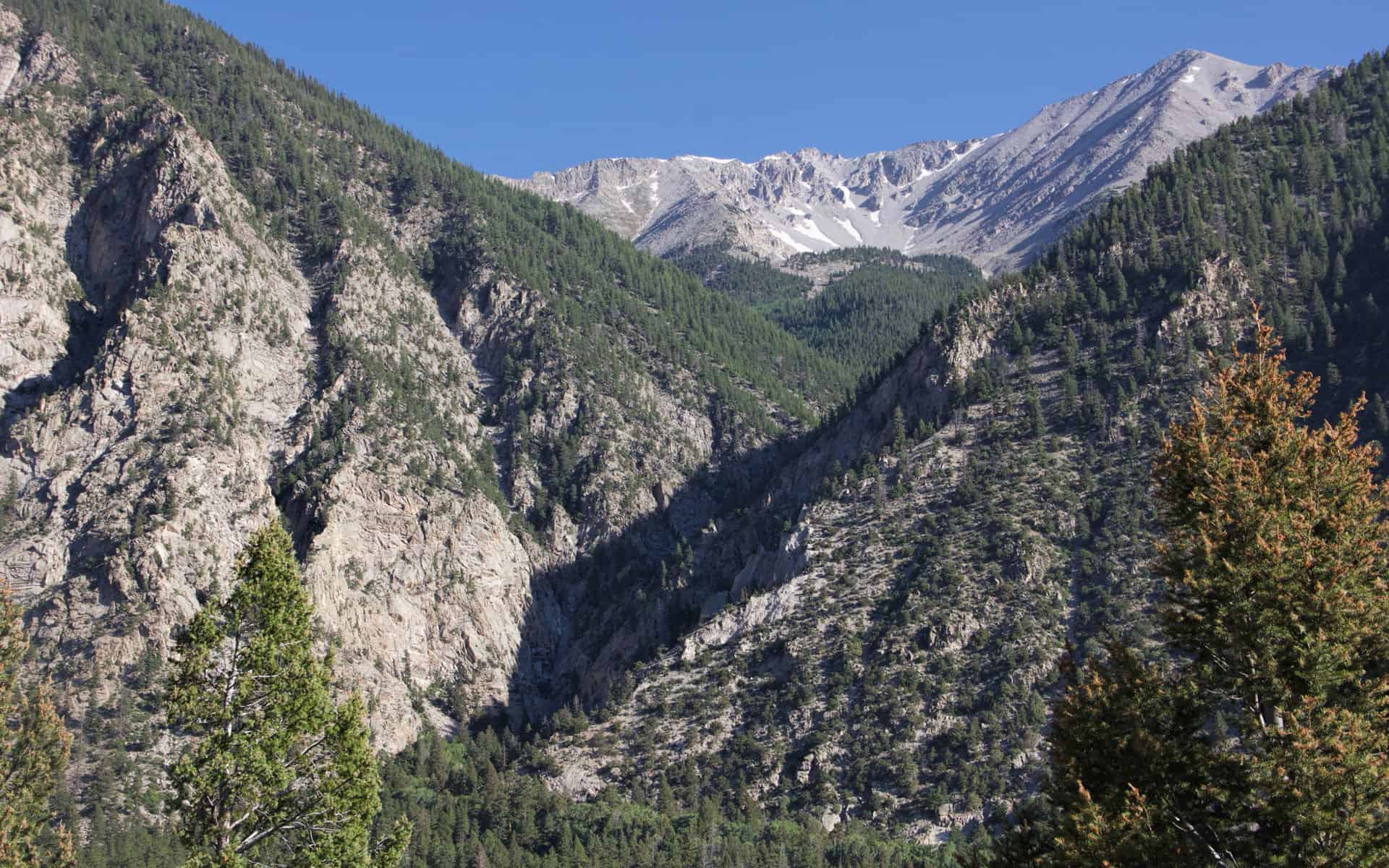Narrow Gauge Trail
