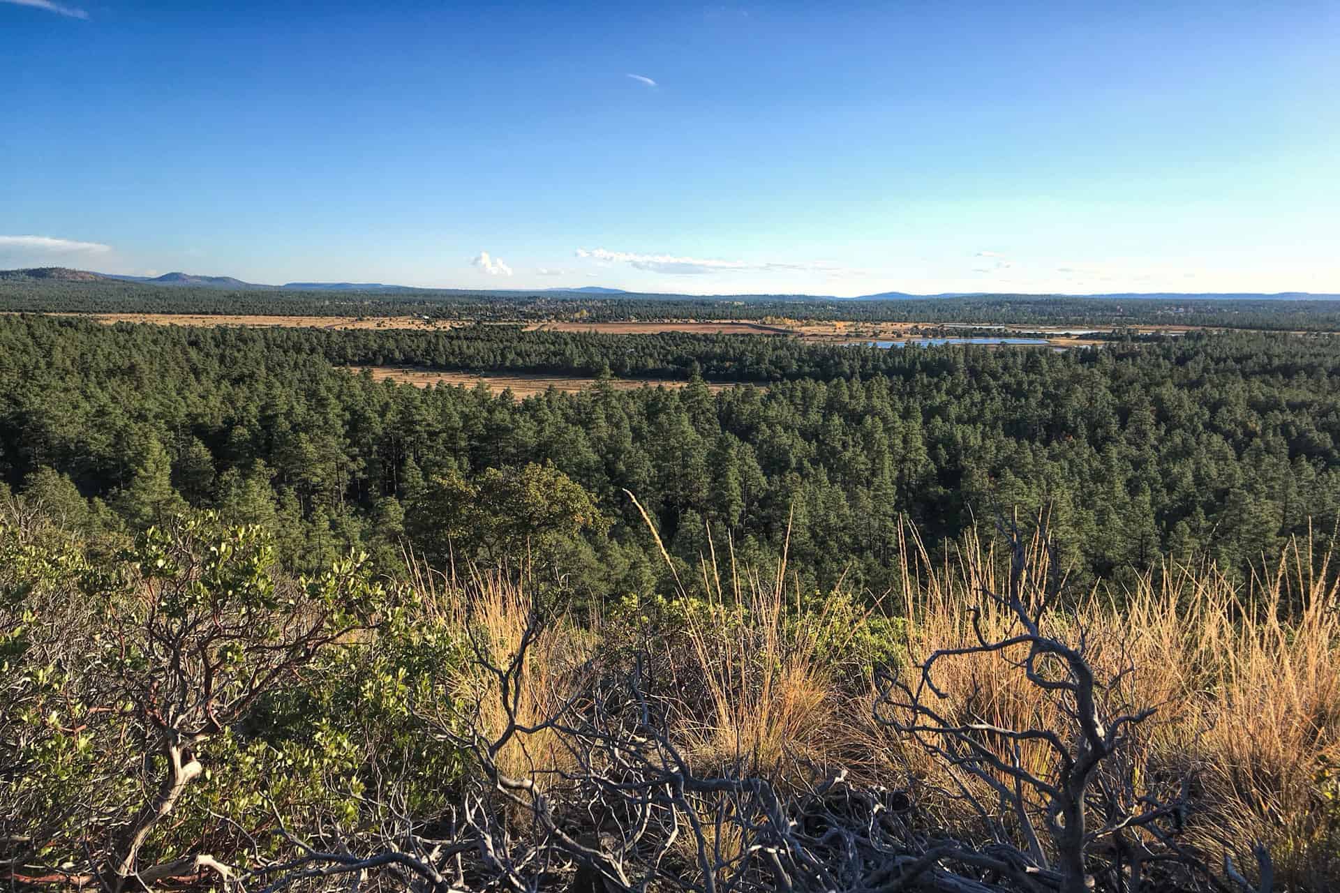 A wide view over a rolling pine forest toward a small lake and distant mountains under a partly cloudy sky