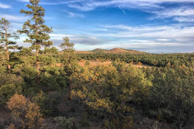 A Month in the White Mountains of Arizona