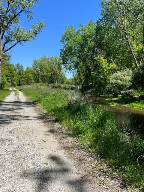 Black oaks wetlands — A Road Trip to South Dakota