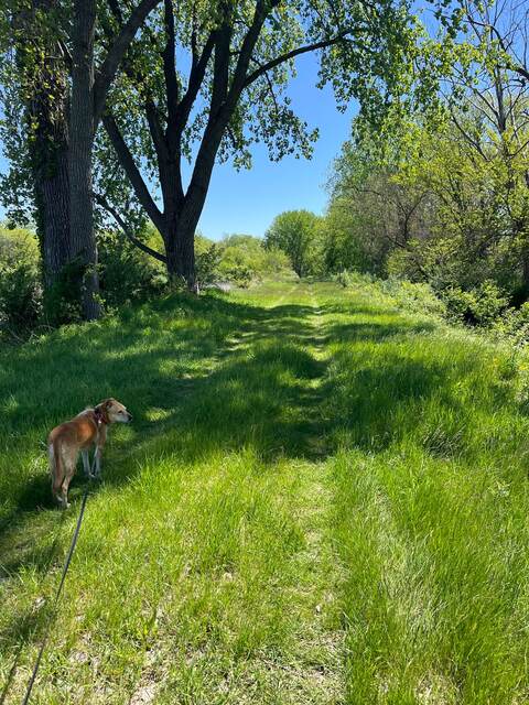 Black oaks wetlands — A Road Trip to South Dakota