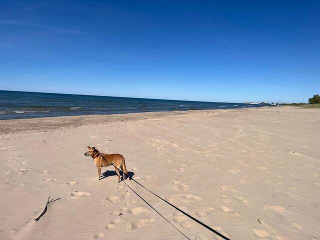 Lake michigan — A Road Trip to South Dakota