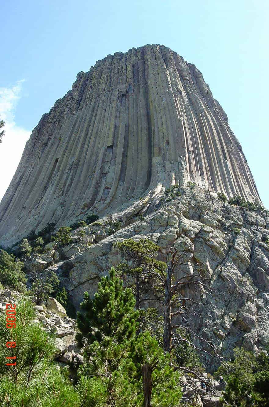 A close-up view of Devils Tower's vertical rock columns rising above the treeline