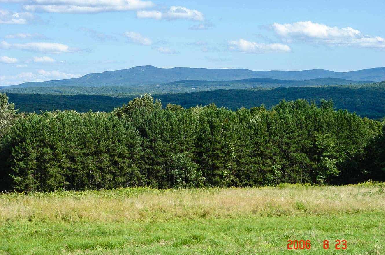 A forested mountain view in Vermont's Green Mountains
