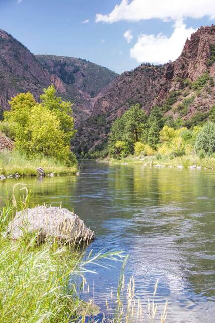 The Gunnison River flowing calmly between forested canyon walls under a blue sky