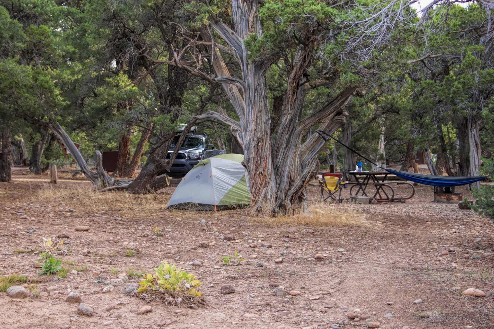 A tent campsite nestled among gnarled juniper trees with a truck and hammock at a North Rim campground
