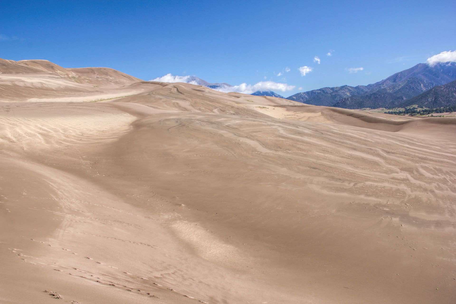 A sweeping view across rippled sand dunes toward distant mountains, with tracks crossing the dune field