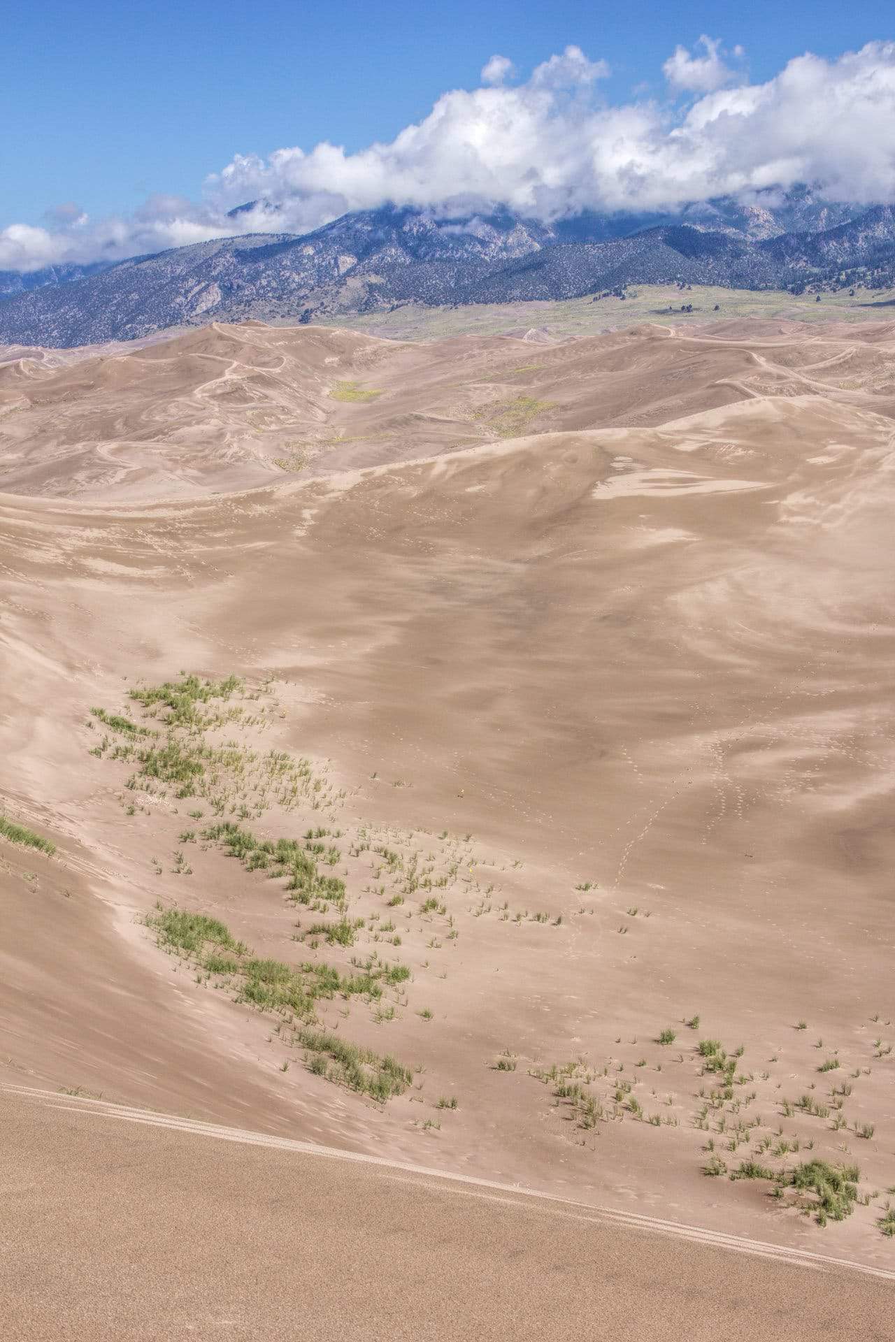 A steep sandy dune slope dotted with patches of green vegetation, overlooking a wide field of dunes below