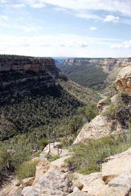 A canyon overlook trail with a metal railing, looking out over a forested drainage below Mesa Verde