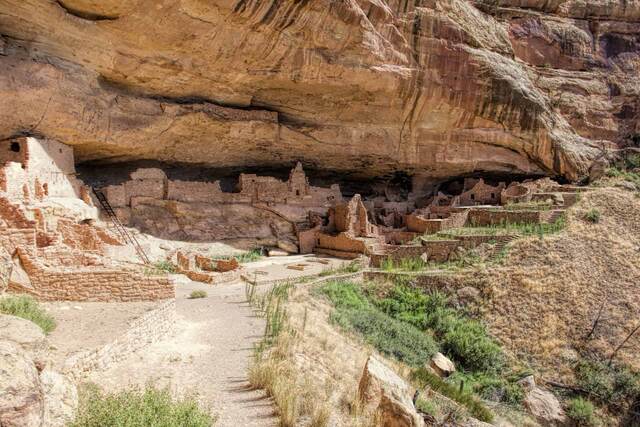 Multi-story cliff dwelling ruins built into a deep sandstone alcove, with ladders and stacked stone rooms