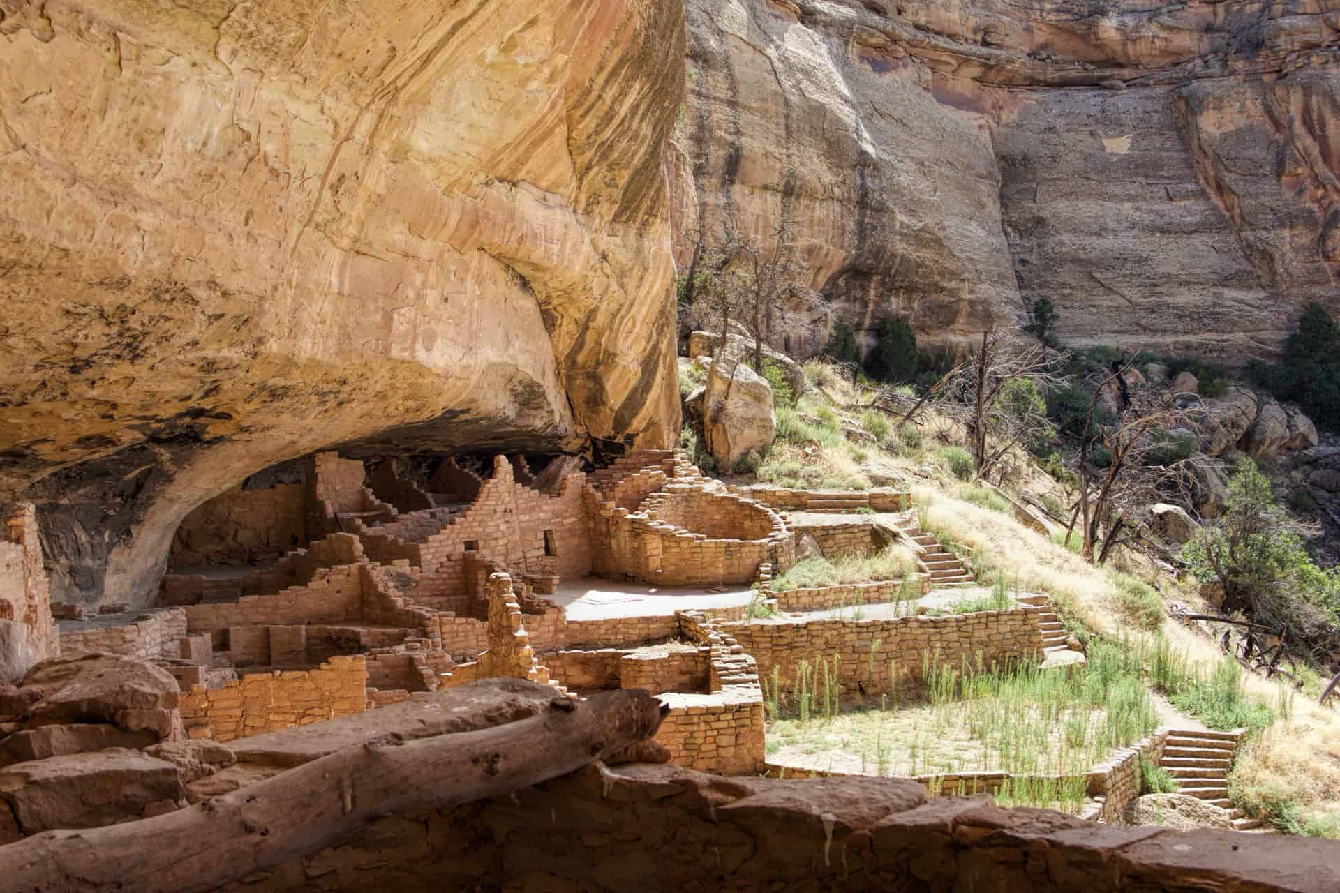 A distant view of a cliff dwelling nestled beneath a rock overhang, framed by a canyon rim trail