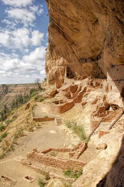Cliff dwelling ruins tucked into a sandstone alcove, viewed from across the canyon amid pinyon-juniper forest