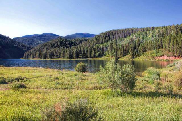 A calm lake surrounded by pine forest and rolling hills at Sylvan Lake State Park