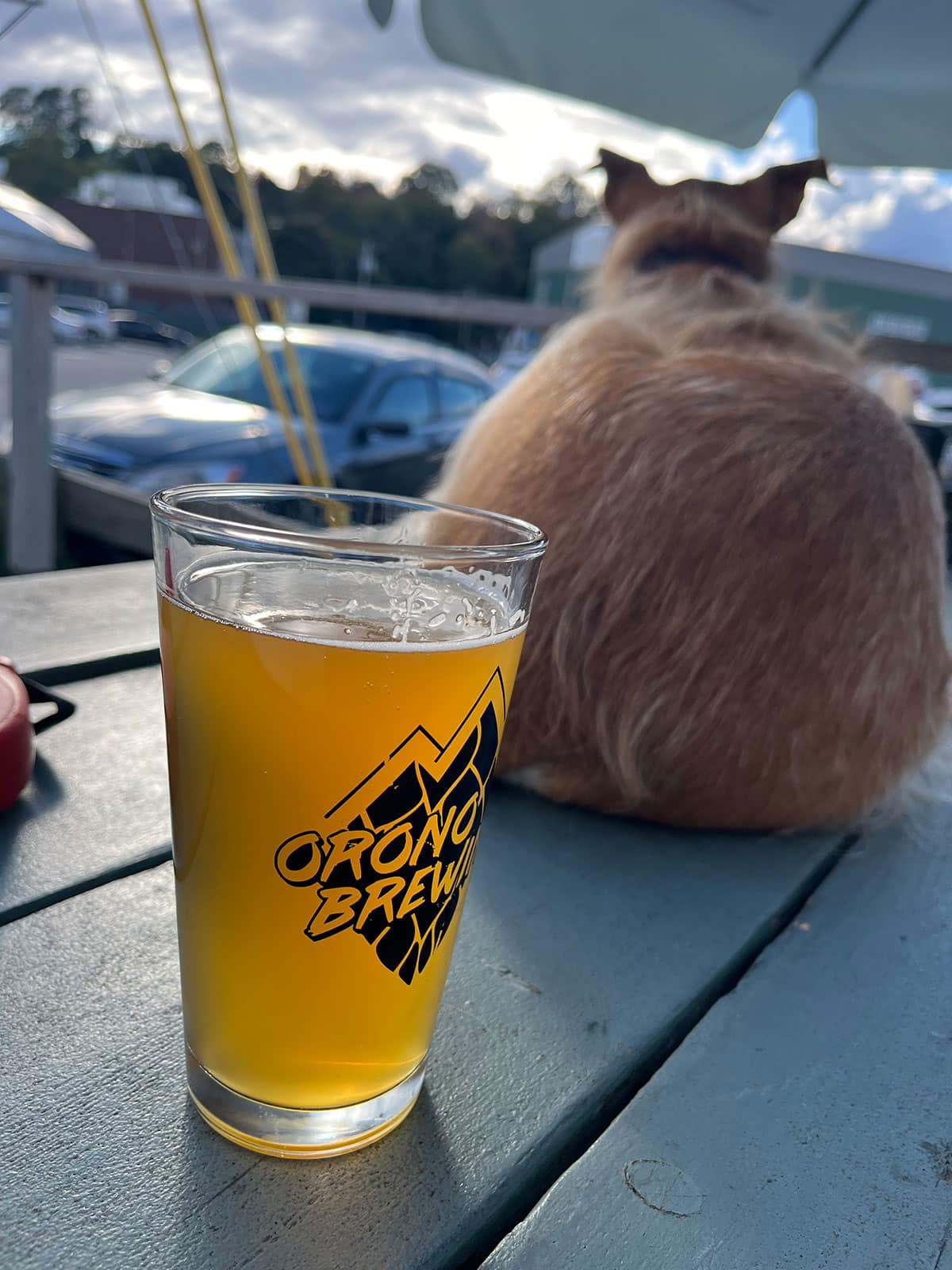 A road trip to Maine