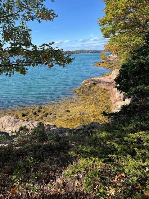 A road trip to Maine