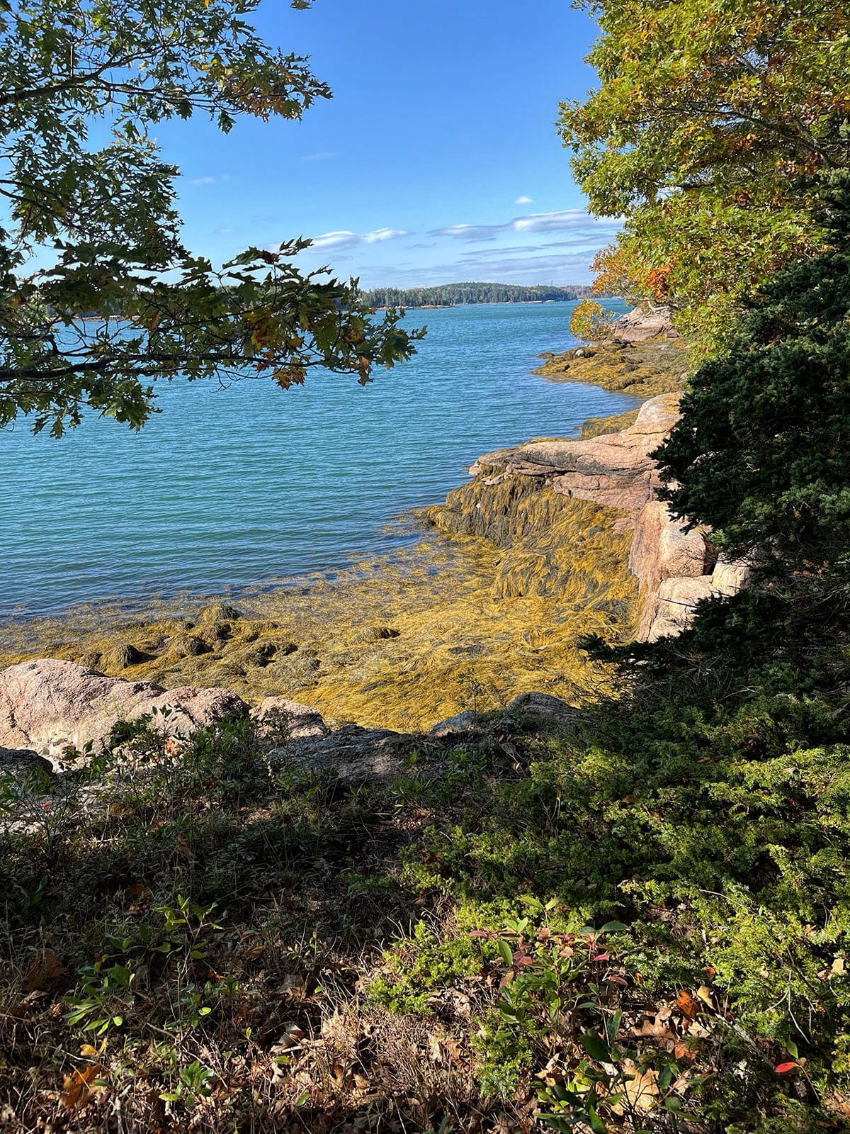 A road trip to Maine