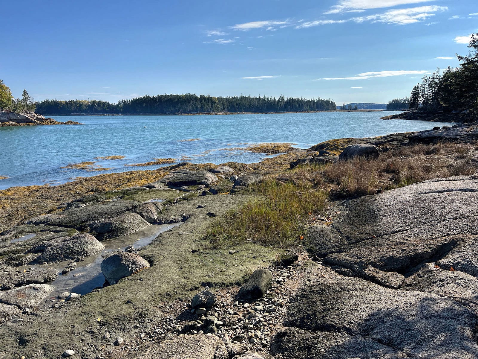 A road trip to Maine