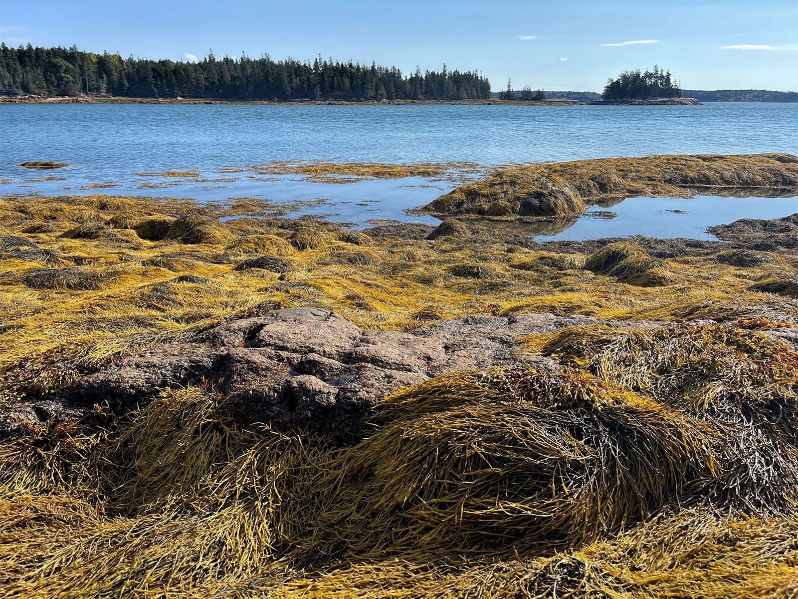A road trip to Maine