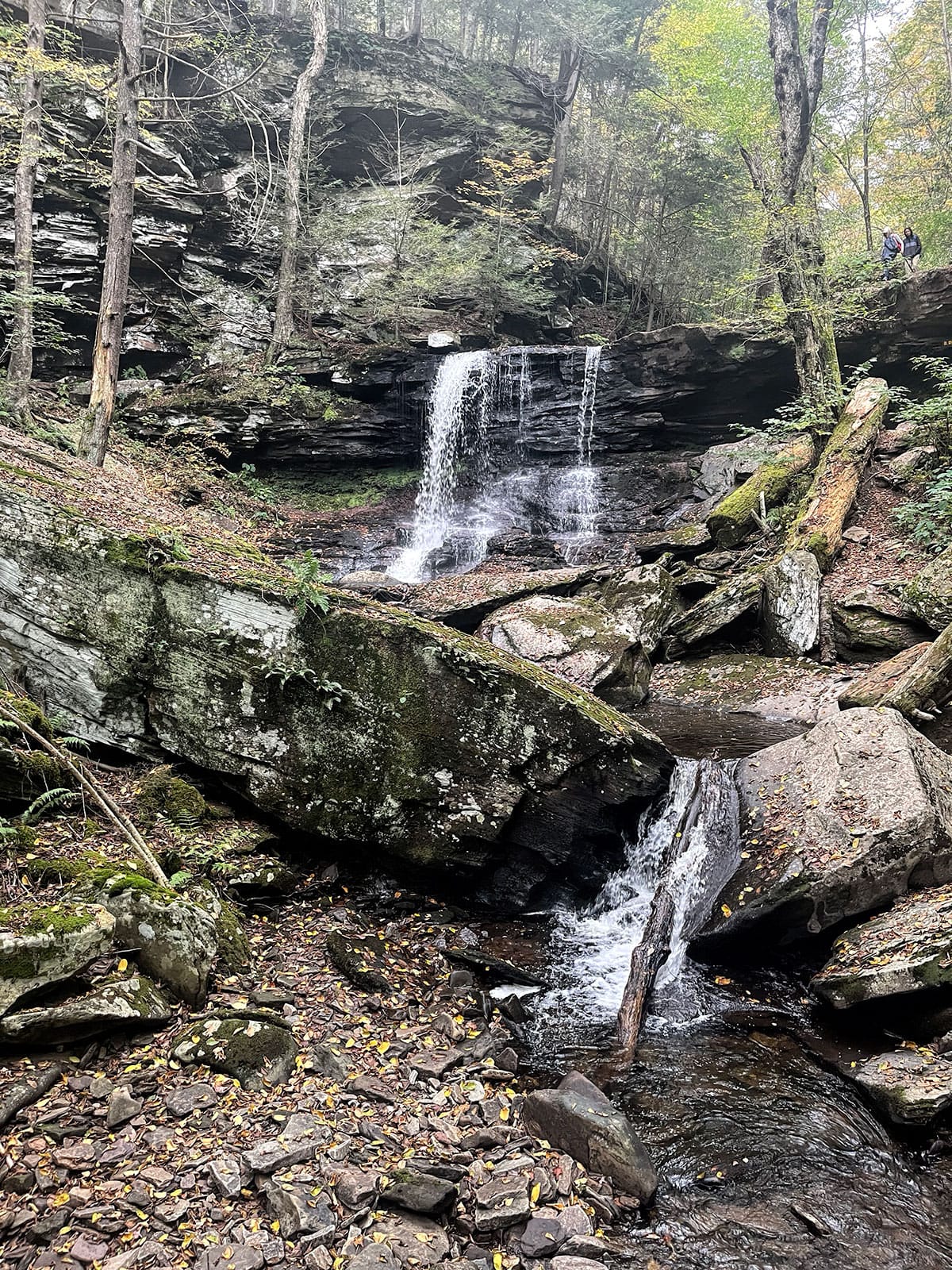 A road trip to Maine