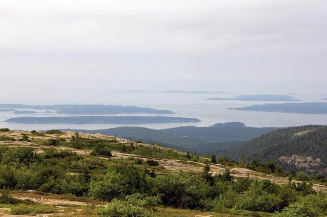 A hazy view of Frenchman Bay's islands from a rocky summit in Acadia National Park, framed by low shrubs