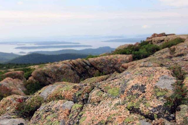 Close-up of orange and green lichen covering granite rocks, with islands visible in the hazy distance