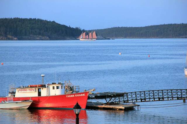 A red lobster boat named Tiger Shark docked in Bar Harbor, with a tall ship sailing past in the distance