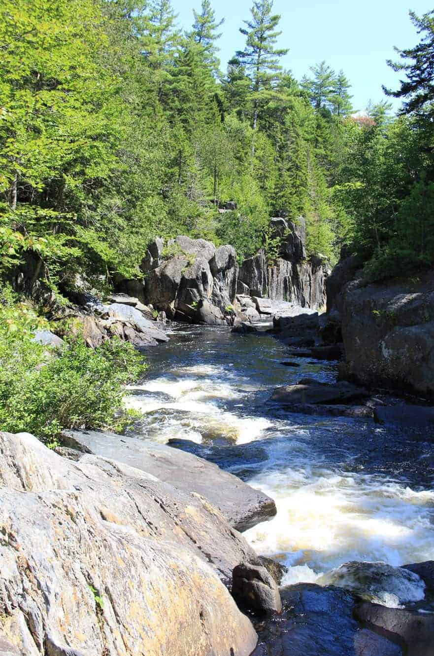 A rocky gorge with whitewater rushing between forested cliffs