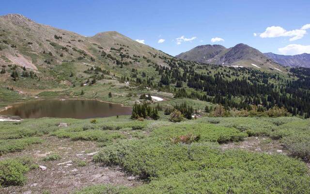 A reddish-brown alpine lake nestled in a green basin, ringed by rolling grassy peaks and pine forest