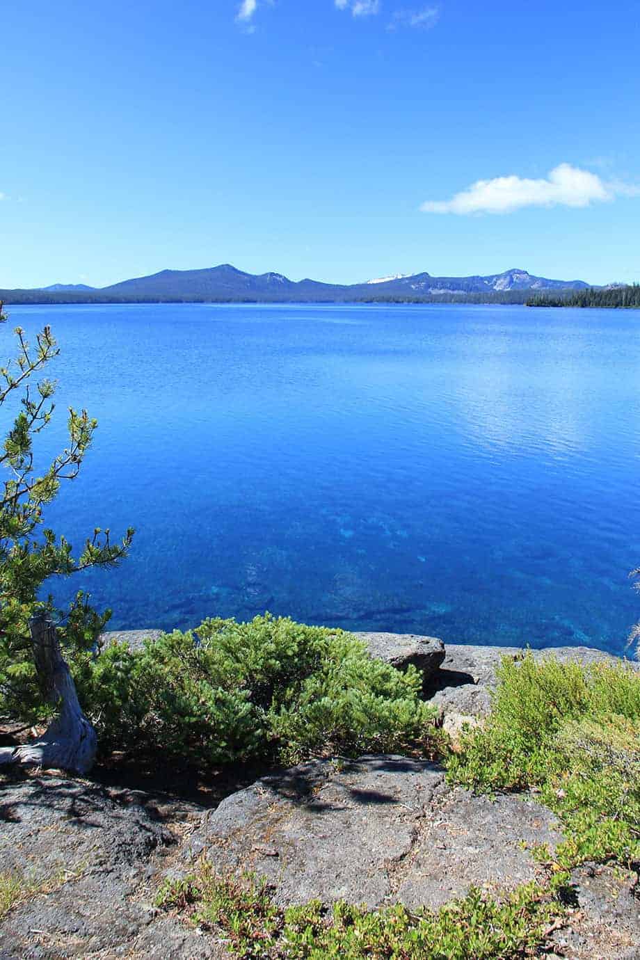 A wide view of the deep blue lake from a rocky point with pine and juniper in the foreground and mountains beyond