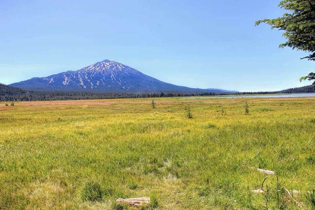 A grassy meadow near the lake shore with a snow-dusted volcanic peak rising in the background