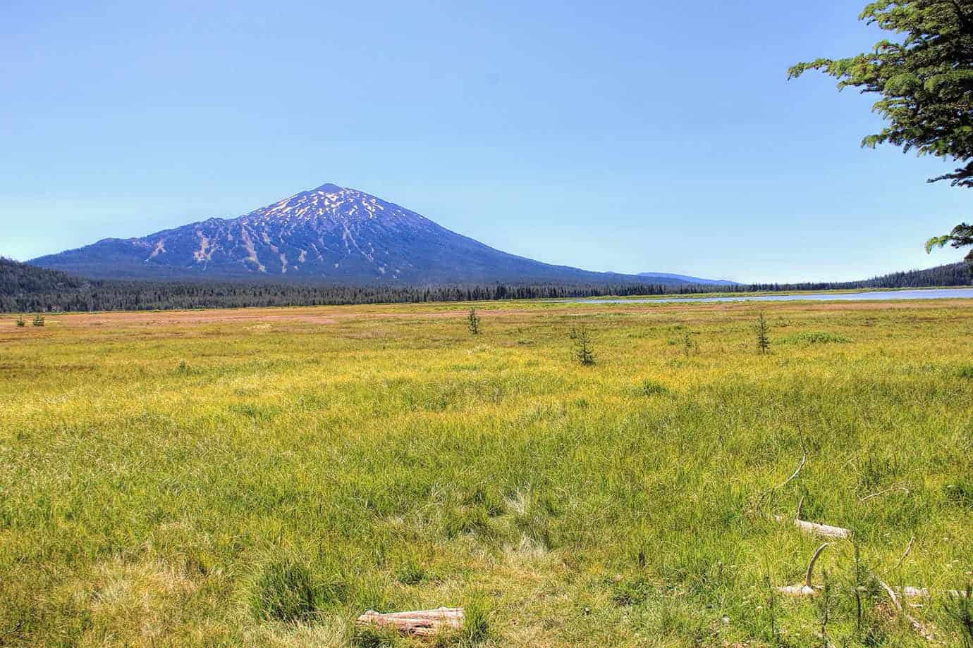 A grassy meadow near the lake shore with a snow-dusted volcanic peak rising in the background
