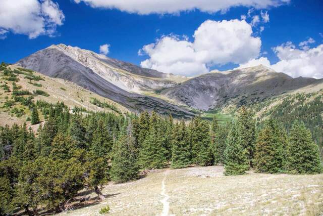 A narrow trail crossing a grassy alpine clearing toward a forested ridge, with rocky peaks and clouds beyond
