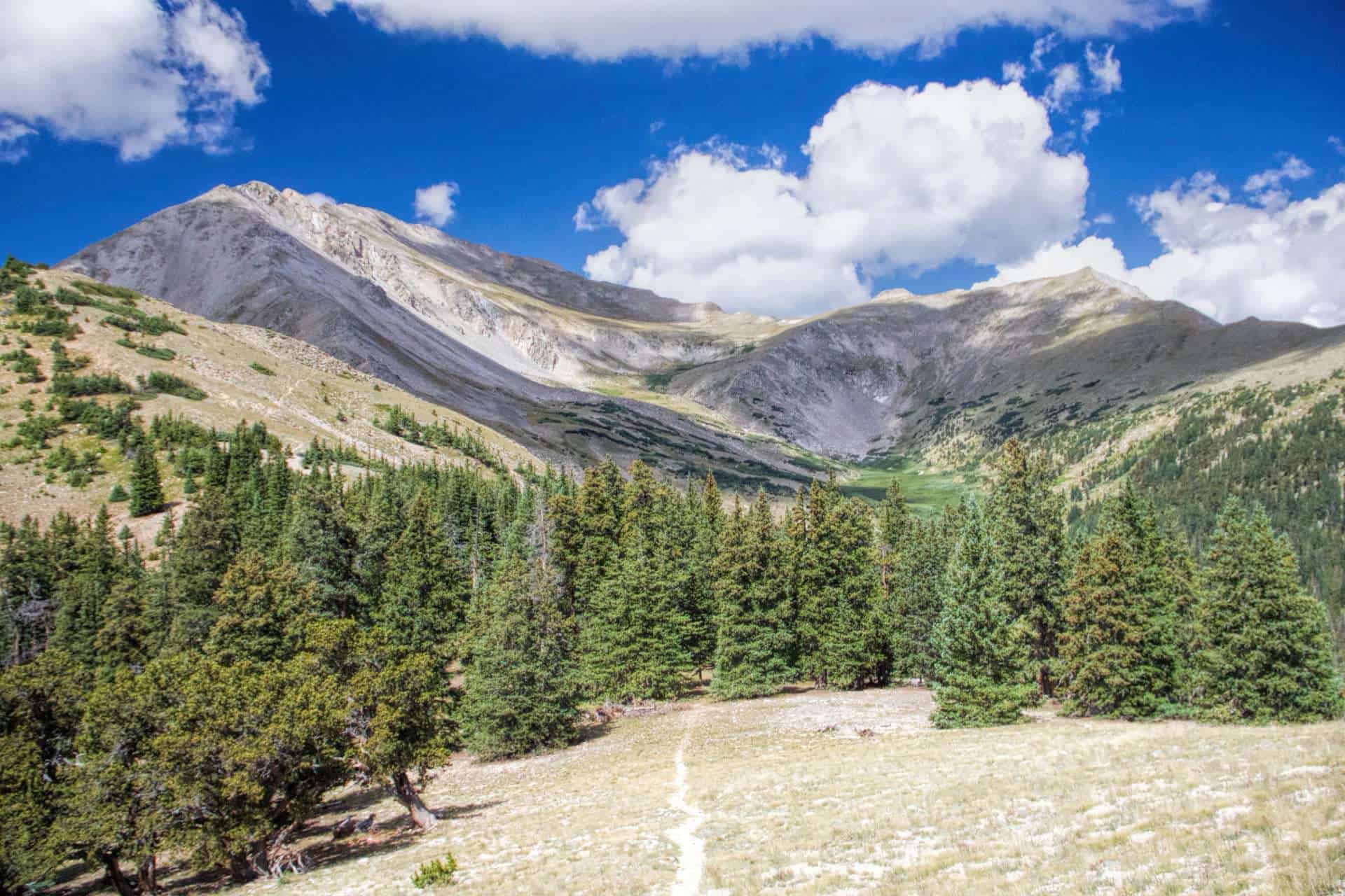 A narrow trail crossing a grassy alpine clearing toward a forested ridge, with rocky peaks and clouds beyond