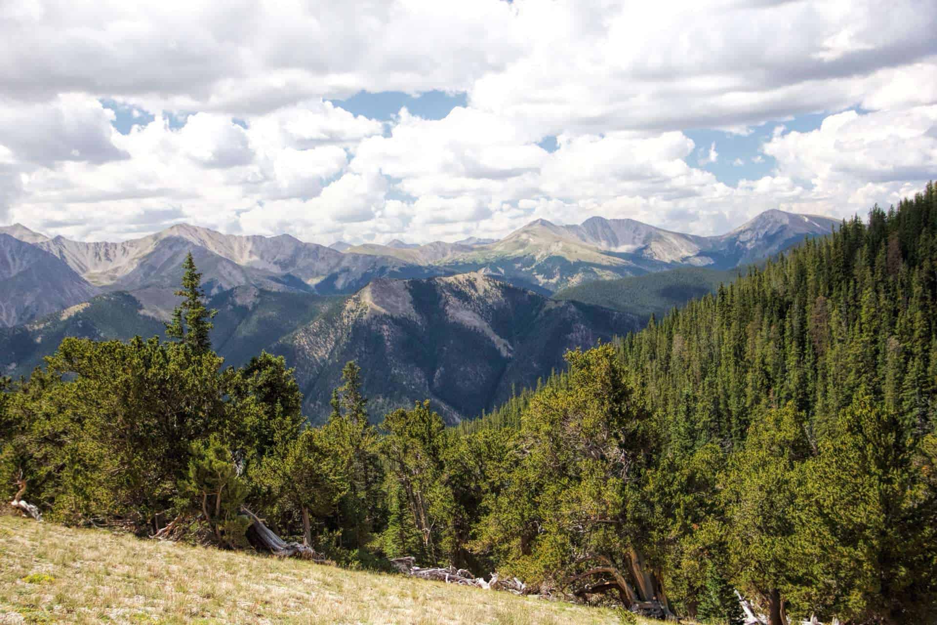 A view over dense pine forest toward layered mountain ridges under a heavily clouded sky
