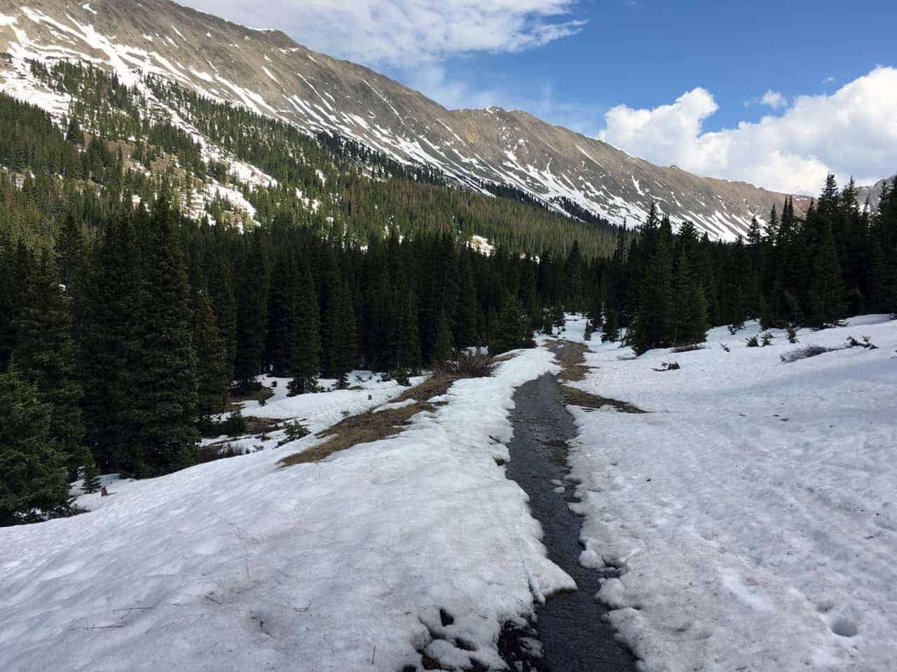 A snow-covered trail winding through pine forest toward a snow-streaked mountain ridge