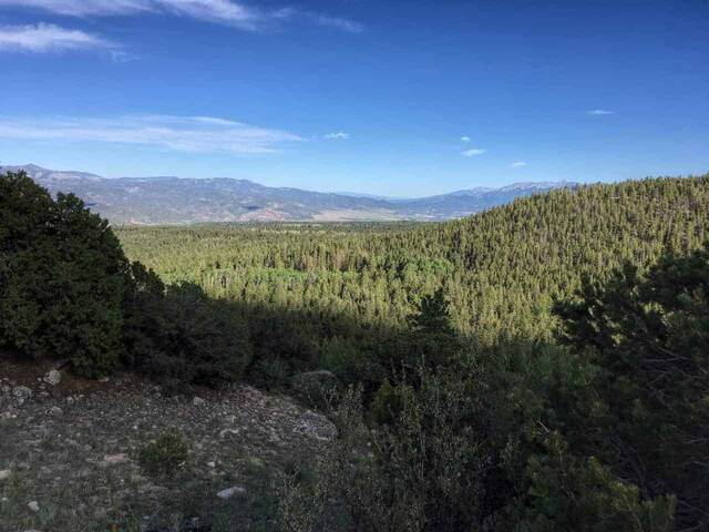 A view over pine forest down to a wide mountain valley under a clear blue sky, from a rocky overlook