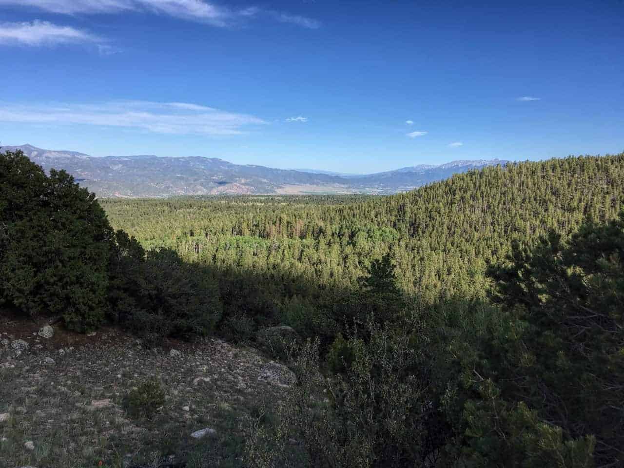 A view over pine forest down to a wide mountain valley under a clear blue sky, from a rocky overlook