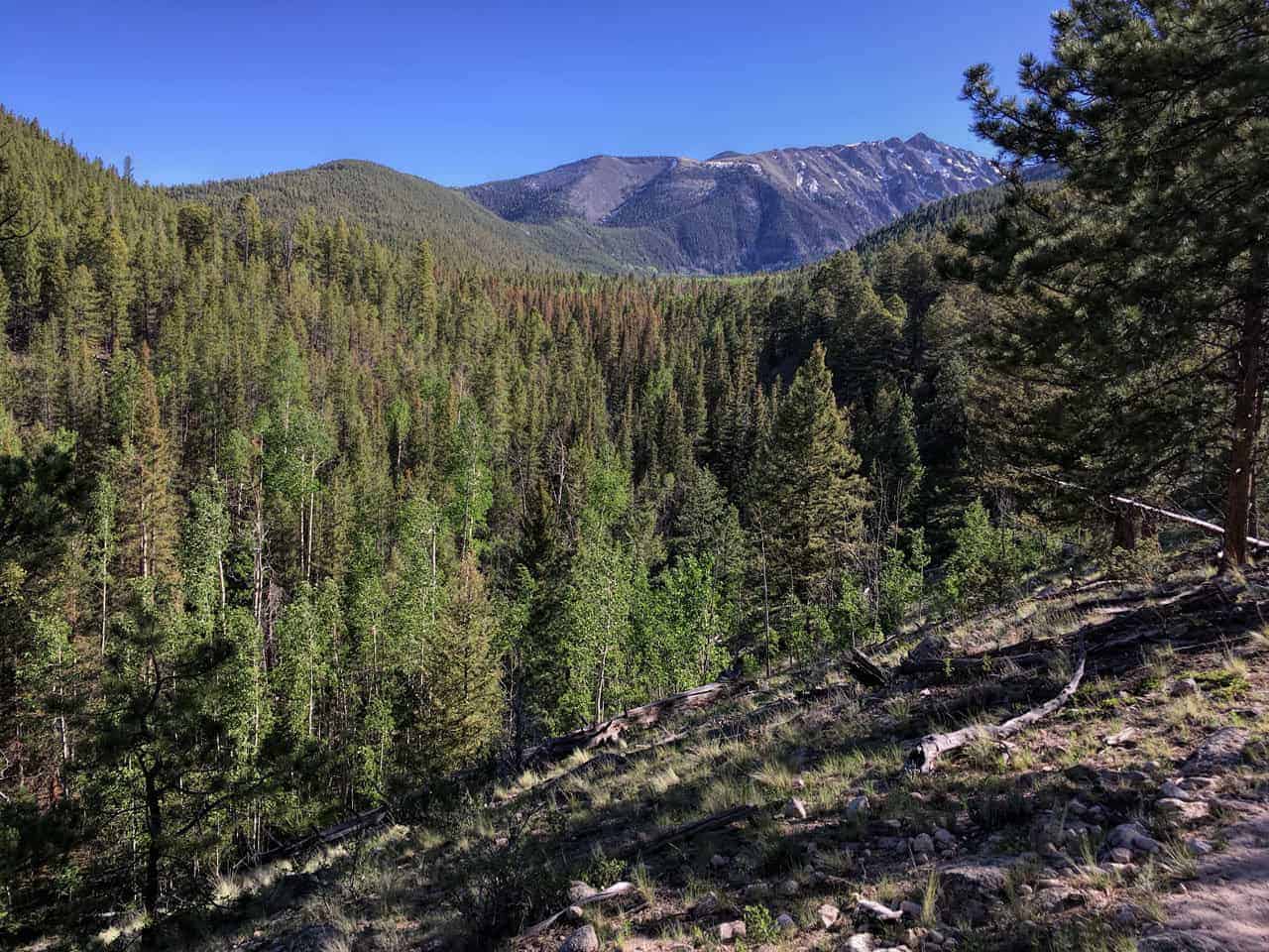A pine and aspen forested valley below layered mountain ridges under a clear sky
