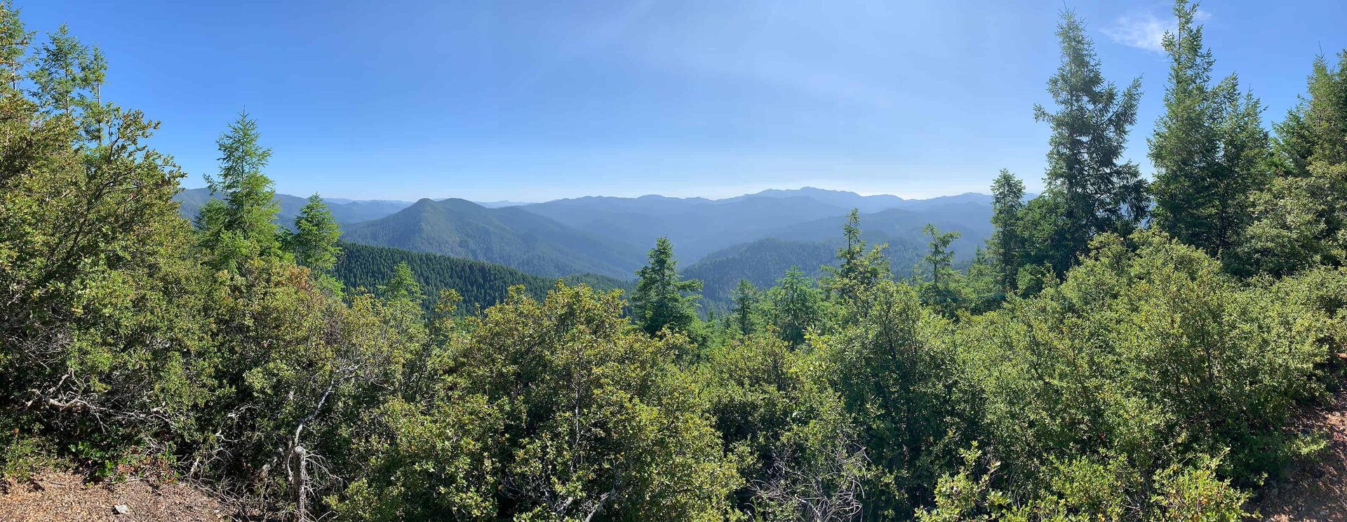 Panoramic view of layered mountain ridgelines from the summit, framed by manzanita brush and fir trees