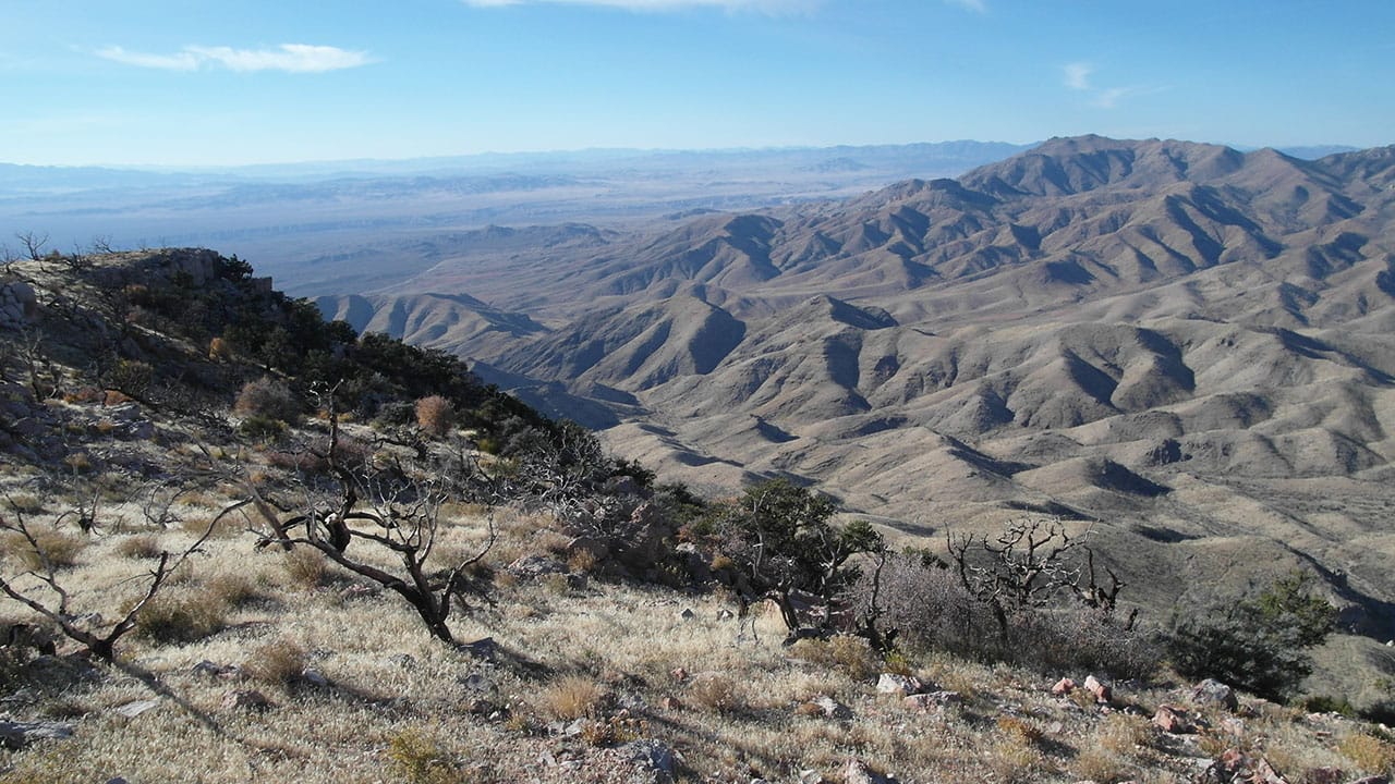Rolling tan mountain slopes dotted with sparse dead trees, fading into a hazy desert valley