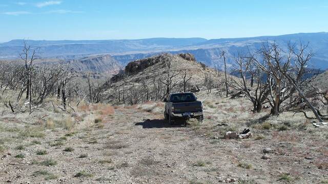 A pickup truck parked on a dirt overlook road surrounded by burned and dead trees