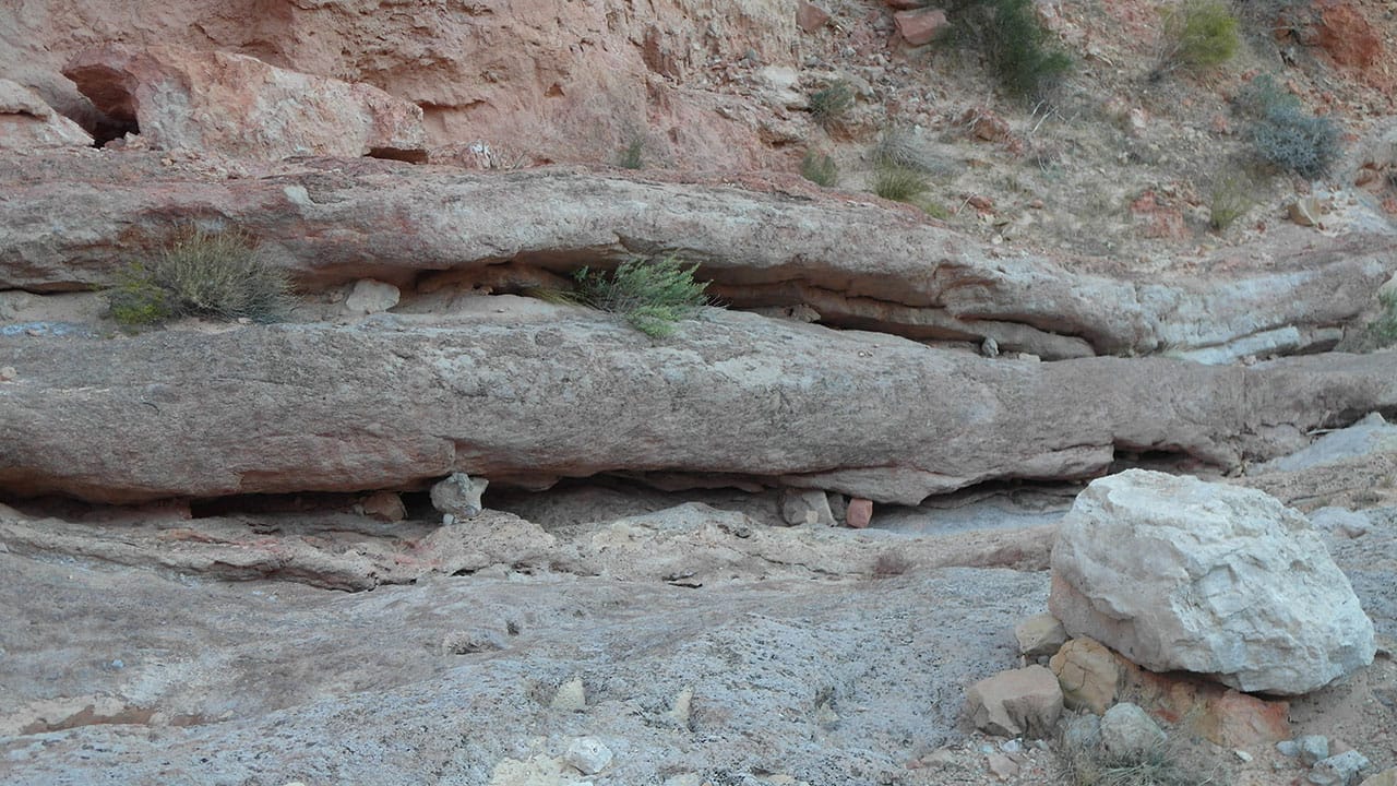 A layered sandstone rock overhang with small green shrubs growing out of the cracks