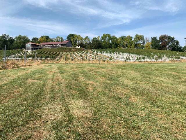 The tasting room and vineyard rows on a hillside at Grandview Vineyard