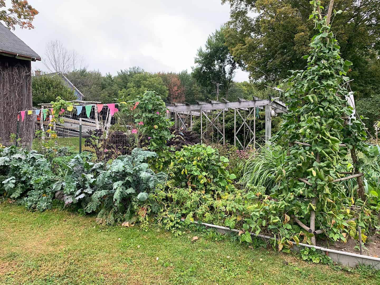 Home Range Winery's garden beds, trellises, and vines