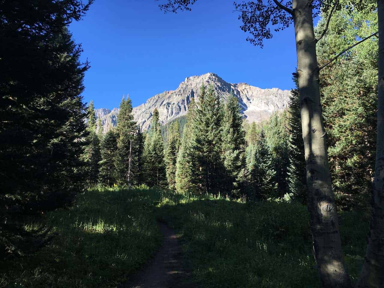 A narrow trail through a forest clearing leading toward a rugged gray peak framed by pine and aspen trees