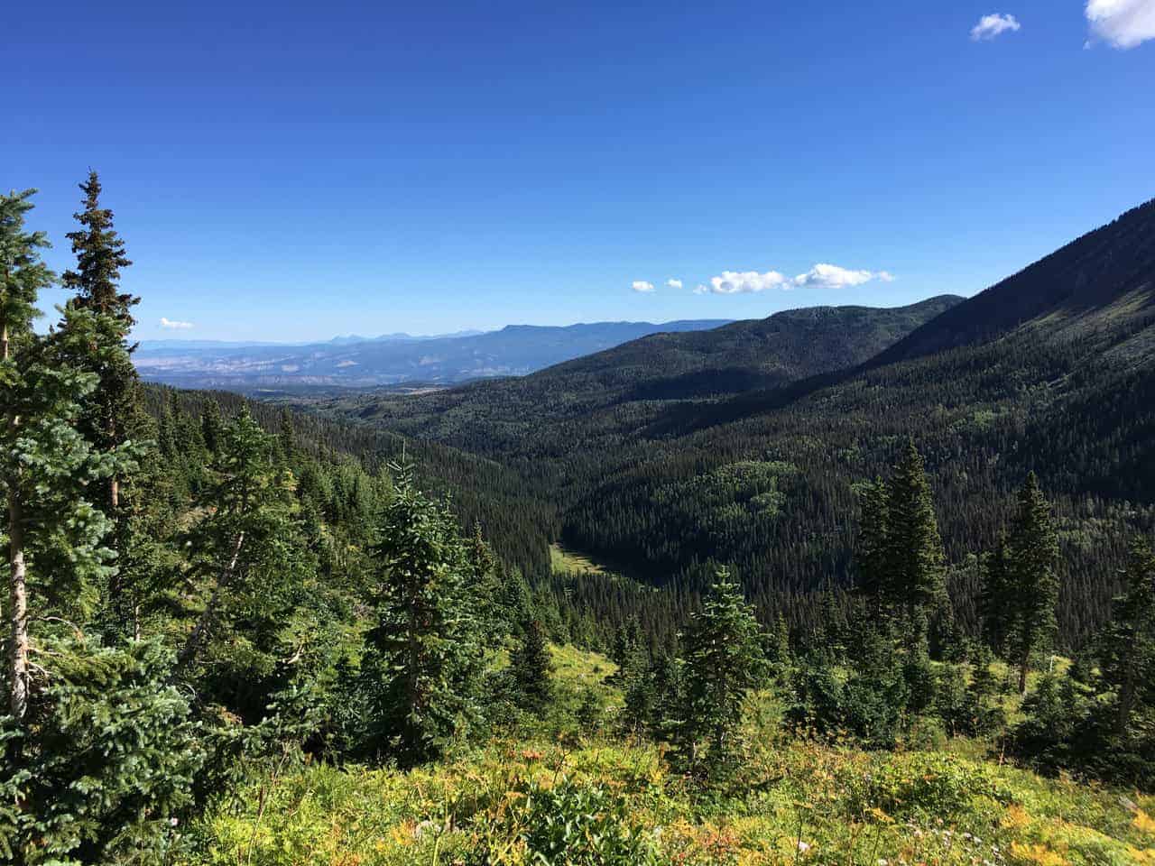 A wide view down a forested valley toward layered mountain ridges under a blue sky