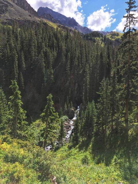 A small waterfall tumbling through a dense spruce forest below a rocky peak